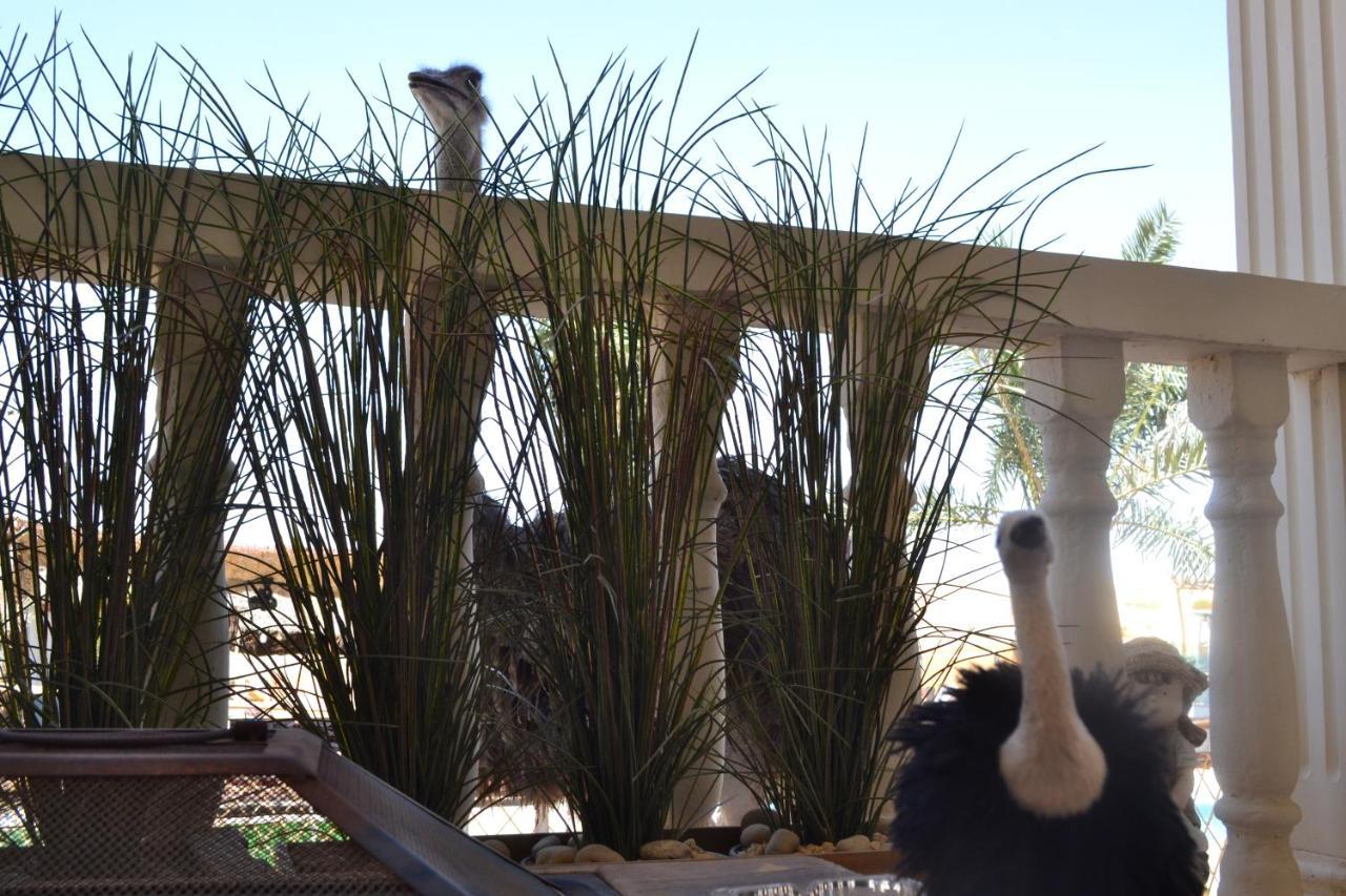 Farm Lebanon Guest House Abu Dhabi Bagian luar foto