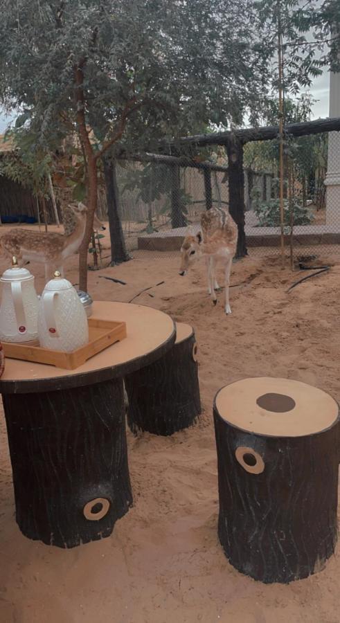 Farm Lebanon Guest House Abu Dhabi Bagian luar foto